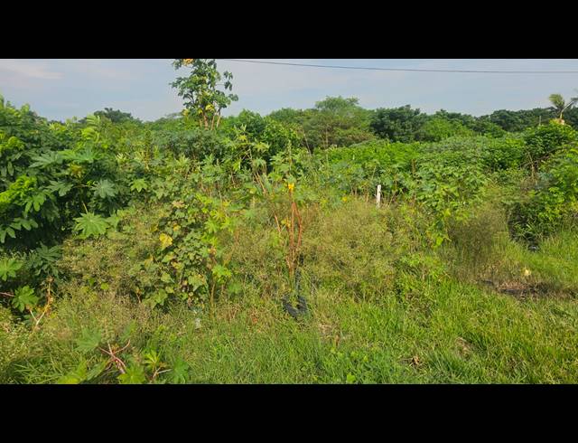 10,205M² VACANT LAND FOR SALE IN KULEKA